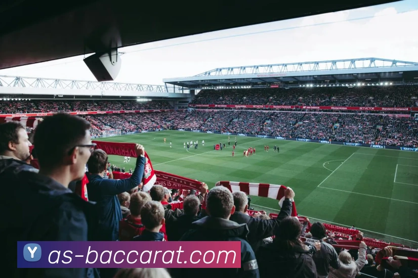 App Interface Preview